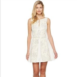 Beautiful Business Dress NWT